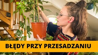 20 Najczęściej popełnianych błędów przy PRZESADZANIU domowych roślin doniczkowych 🌱 Vlog [upl. by Whall]