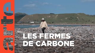 NouvelleZélande  les fermes carbone  ARTE Reportage [upl. by Nickerson797]