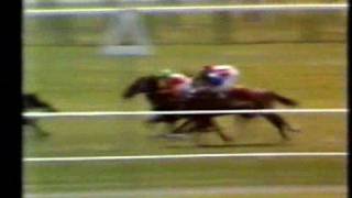 Show Gate NZ 1977 Trentham Stakes [upl. by Noel]