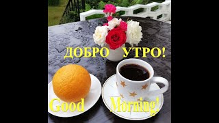 ДОБРО УТРО  ВЕСЕЛИ ПОЧИВНИ ДНИ Good Morning [upl. by Gunas490]