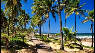 Conhecendo Lauro de FreitasBA Praia do Flamengo Praia Ipitanga até o Centro de Lauro [upl. by Erreip]