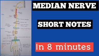 MEDIAN NERVE  How to draw median nerve short notes [upl. by Ynad38]