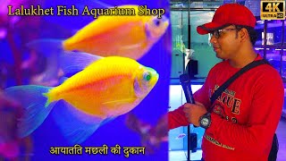 Exotic Fish at Lalukhet Aquarium Fish Shop 2024 Karachi  कराची शॉप पर विदेशी मछलियाँ [upl. by Enelrahc]