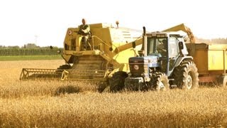 Classic Combine Week 7 New Holland Clayson M140 [upl. by Audette421]