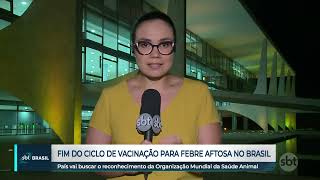 FEBRE AFTOSA Brasil se declara país livre de febre aftosa sem vacinação [upl. by Adirahs28]