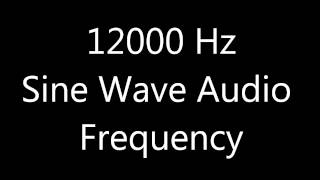 12000 Hz 12 kHz Sine Wave Sound Frequency Tone [upl. by Eicyak404]