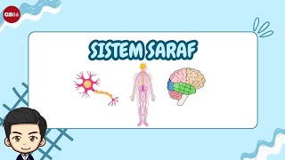 Sistem Saraf  Materi IPAS Kelas 6 Kurikulum Merdeka [upl. by Alah105]