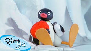 Pingu Gets Lost 🐧  Pingu  Official Channel  Cartoons For Kids [upl. by Joyann]