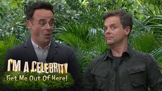 Lady C Flashes Ant amp Dec  Im A Celebrity Get Me Out Of Here [upl. by Assyn314]