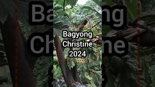 BAGYONG CHRISTINE MUNTIKAN NANAMAN BAHAY KO [upl. by Linc53]