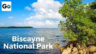 Biscayne National Park in South Florida [upl. by Ennaillek]