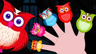 🦉❤️ Owl Finger Family  More CUTE Finger Family Songs Collection [upl. by Kelci179]