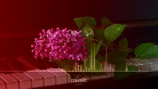 Beethoven  Moonlight Sonata 3rd Movement cover by Rousseau ∙ upmusic ∙ piano [upl. by Jezabel]