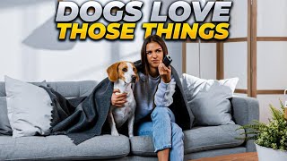 5 Best Dog Love Movies 🔥 doglover movies shorts recommendations [upl. by Kopp263]