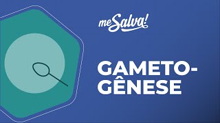 Gametogênese  Embriologia  Me Salva Saúde [upl. by Flannery]