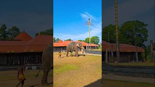 Chengannur Mahadeva Temple hindutemple elephant shivatemple [upl. by Yraht]