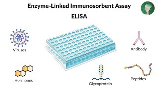 EnzymeLinked Immunosorbent Assay ELISA  شرح بالعربي [upl. by Eniamert]