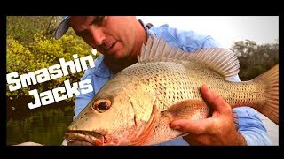 How to catch Mangrove Jacks  Fishing in Creeks  Skip Casting [upl. by Kurth965]