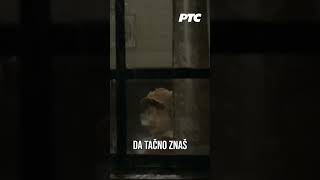 Život bez snova  Serija quotMontevideo Bog te videoquot RtsSerije shorts [upl. by Gnirps]