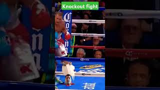 Sergey kovalev vs Bernard Hopkins hightlights knockout fight boxing shortvideo knockout [upl. by Seton402]