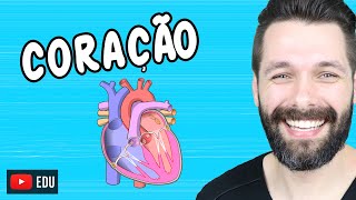 ANATOMIA DO CORAÇÃO  Fisiologia Cardíaca  Biologia com Samuel Cunha [upl. by Hamas]