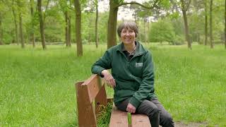 Landscape Restoration at Thorndon Country Park [upl. by Nivad]