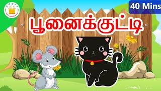 பூனைக்குட்டி பாடல்  Miyav Miyav Poonaikutti Tamil Rhymes for kids and childrenதமிழரசி [upl. by Epperson261]