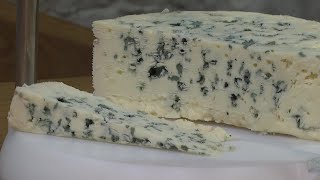 Roquefort cheese production drives wedge between local producers and Lactalis  AFP [upl. by Verlie799]