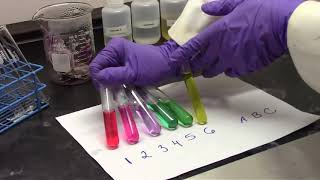 Extraction Acid Base Reactions and Buffer Solutions Red Cabbage Experiment [upl. by Neiman]