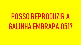 2  POSSO REPRODUZIR A GALINHA EMBRAPA 051 [upl. by Tallbot]