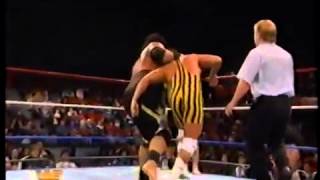 Headshrinkers vs Scrubs WWF 1994000054 264 000324 354 [upl. by Ayenat817]