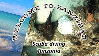 TANZANIA  Welcome to ZanZibar Lets go diving [upl. by Nakhsa]