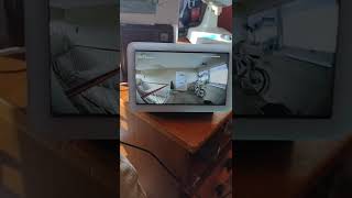 Eufy Doorbell Camera Viewed On Google Nest Hub [upl. by Fortunio]