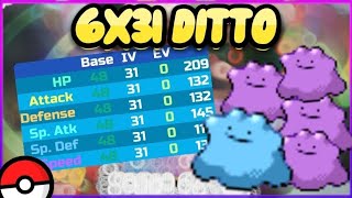 HOW TO GET 6X31 DITTO IN POKÉMON BRICK BRONZE ALL COPIES [upl. by Ailadgim216]