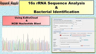 16S rRNA Sequence Analysis and Bacterial Identification [upl. by Ehcram]