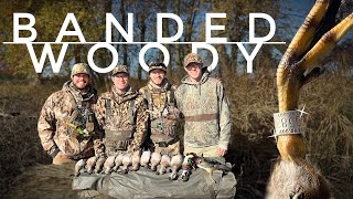 Banded Woody  Iowa Duck Hunting [upl. by Sissel]