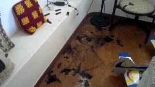 Turnigy LiPo Battery Explosion and Fire in my House [upl. by Aehsel658]