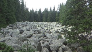 Vitosha Mountain  Views Flora Fauna and Exploration [upl. by Vinay]