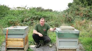 Insulating Beehives amp Removing Verroa Treatment [upl. by Norrv]