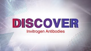 Discover Invitrogen Antibodies and Choose Quality with Confidence [upl. by Valdes]