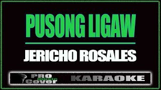 Pusong ligaw  Jericho Rosales KARAOKE [upl. by Yonatan]