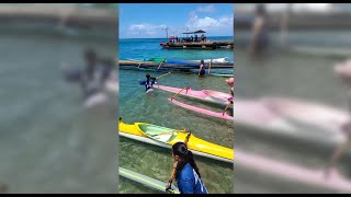 Malesso hosts canoe races as part of Gupot Chamorro Crab Festival [upl. by Yuji]