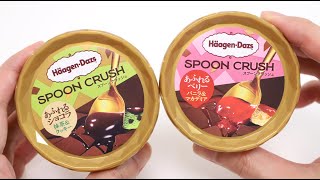 Spoon Crush HaagenDazs New Series Ice Cream with Magic Spin Mug [upl. by Devland]