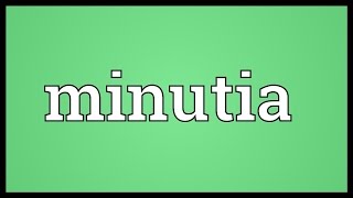 Minutia Meaning [upl. by Ardnaskela]