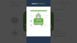 Exploring COPD Bronchitis vs Emphysema 🌬️ LungHealth MedicalEducation usmlestep [upl. by Josephina]