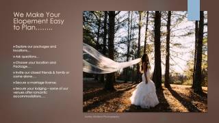 Destination Elope Asheville  Destination Elopements WNC [upl. by Wedurn]