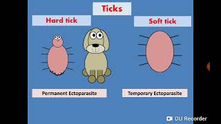 Ticks Arachnida القراد [upl. by Kacey]