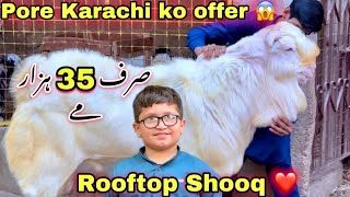 Cute Ahmed Shah 😱 Qurbani 2025 Ka Aisa Bakra Ka Dekh Kar Dil Khush Hogya 😍  Bakra Mandi [upl. by Adnawt908]