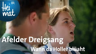 Afelder Dreigsang Wann da Holler blüaht  BR Heimat  Zsammgspuit in Nordtirol [upl. by Walter]