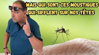 Comment se débarrasser des moustiques simplement mosquito moustique [upl. by Ursala]